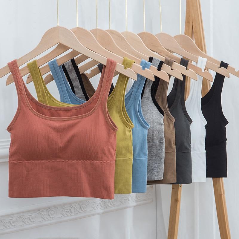 Cojé Padded Round Neck Sports Bra Cojé Fit