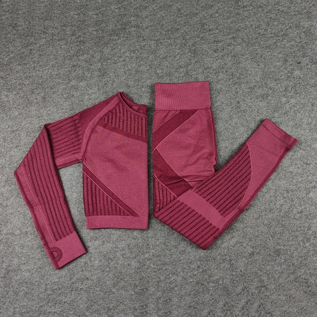 Seamless Women's Workout Apparel- Long Sleeve/Short Sleeve Catalyst Fitness Supplies wine red XS