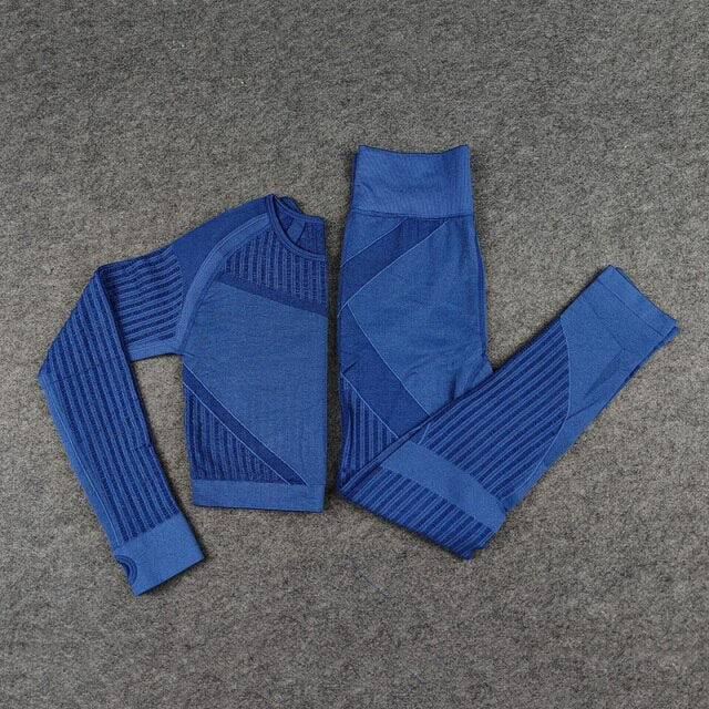 Seamless Women's Workout Apparel- Long Sleeve/Short Sleeve Catalyst Fitness Supplies blue XS