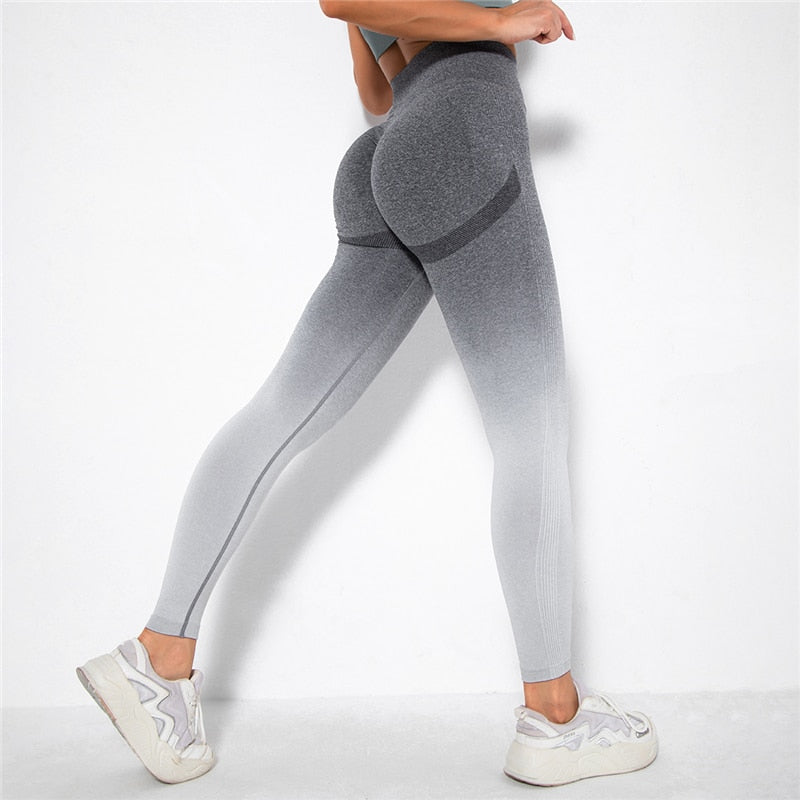 Ombre Seamless Leggings Catalyst Fitness Supplies