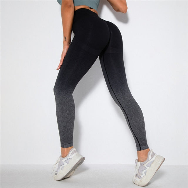 Ombre Seamless Leggings Catalyst Fitness Supplies black grey S