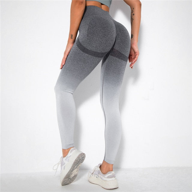Ombre Seamless Leggings Catalyst Fitness Supplies grey white S