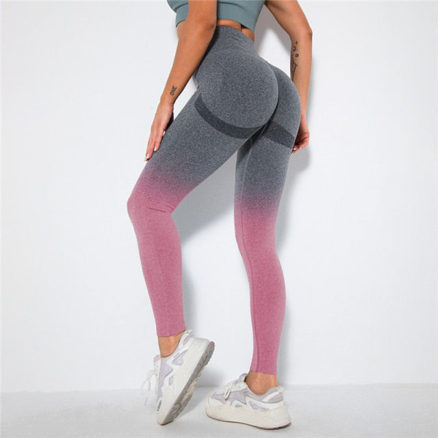 Ombre Seamless Leggings Catalyst Fitness Supplies grey pink S