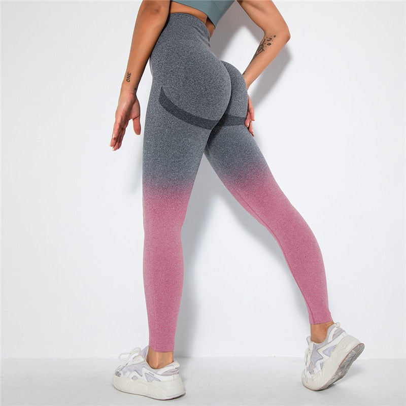 Ombre Seamless Leggings Catalyst Fitness Supplies 