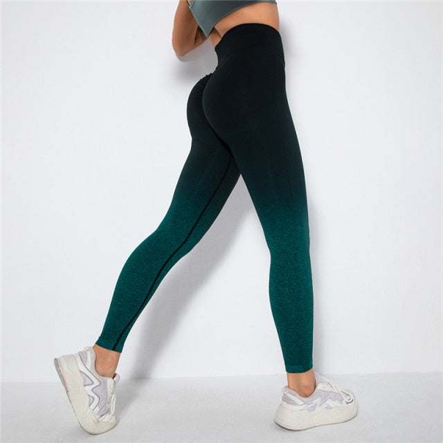 Ombre Seamless Leggings Catalyst Fitness Supplies black green S 