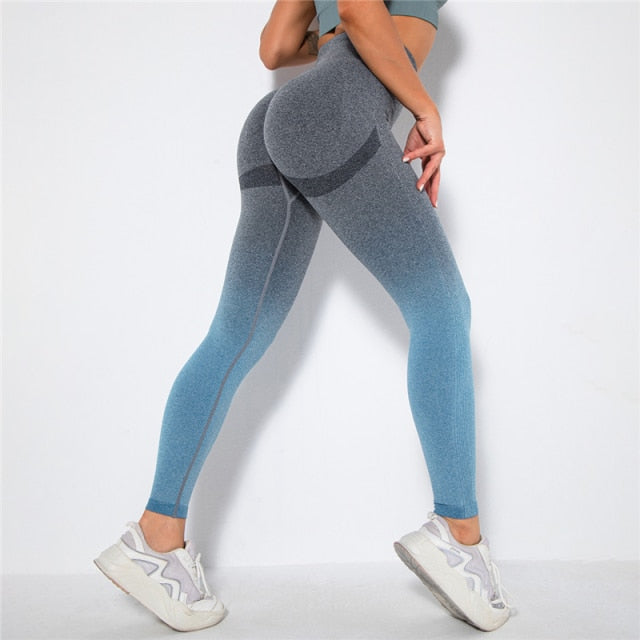 Ombre Seamless Leggings Catalyst Fitness Supplies grey blue S 